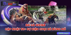 Đá gà WS168