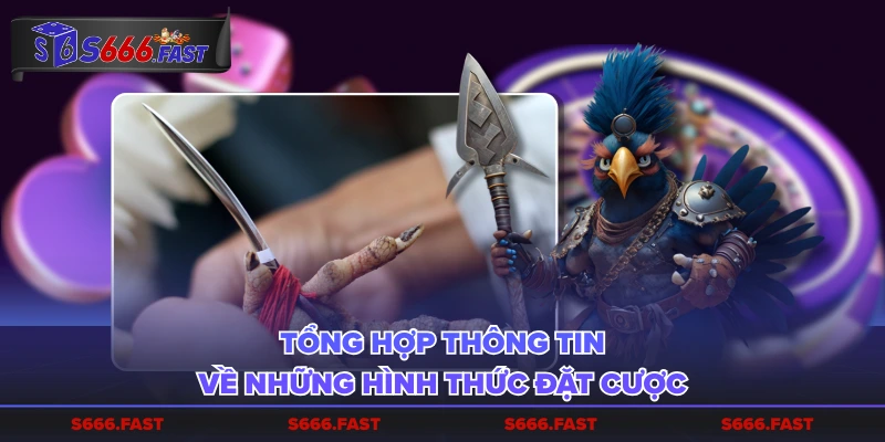 Thông tin sơ lược về loại hình giải trí đá gà cựa sắt